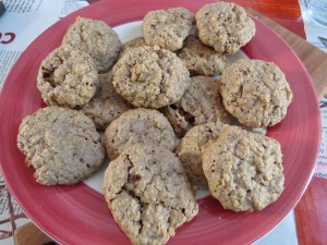 galletitas avena y chocolate