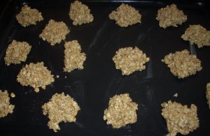 galletitas avena