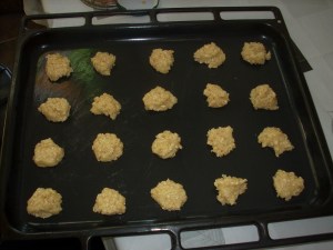 galletitas avena y coco