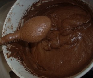 Marquise de chocolate