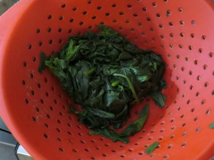 Tortilla de espinaca