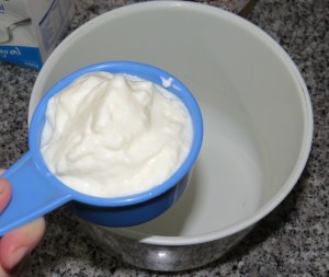 cubitos de dulce de leche y yogur