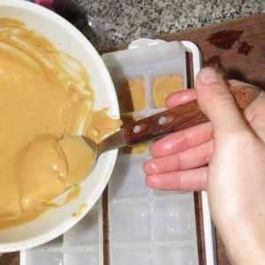 cubitos de dulce de leche y yogur