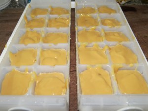 cubitos de dulce de leche y yogur