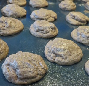 galletitas postre royal