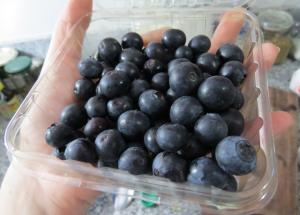 magdalenas de arándanos