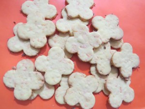 galletitas de zanahoria 10