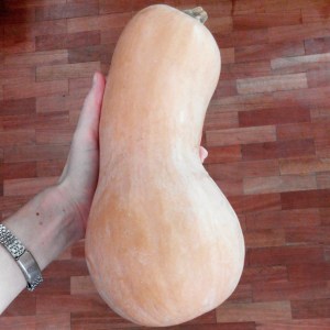 galletitas calabacín