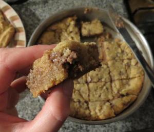 blondies-coco-chocolate