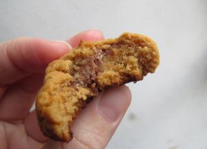 galletitas dulce leche 7