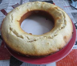 budin coco 1