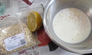 magdalenas coco y avena 1