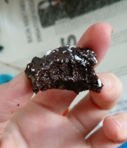 bocaditos coco y cacao 6