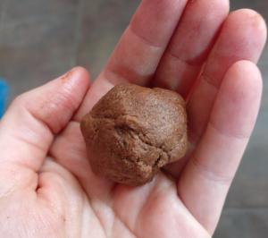 galletitas chocolate 1