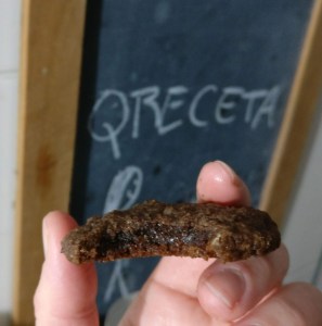 galletitas chocolate coco