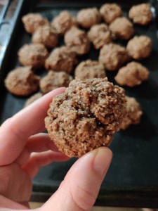 galletitas coco chocolate