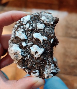 galletitas craqueladas chocolate